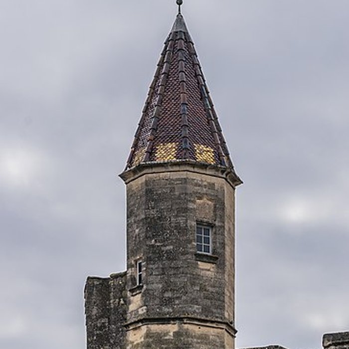 Photo de Château dit Le Duché