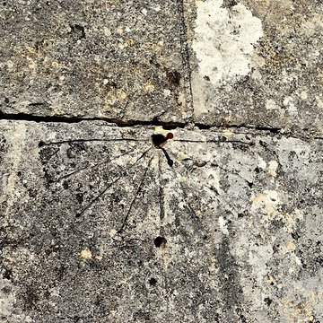 Église Saint-Blaise de Givrezac