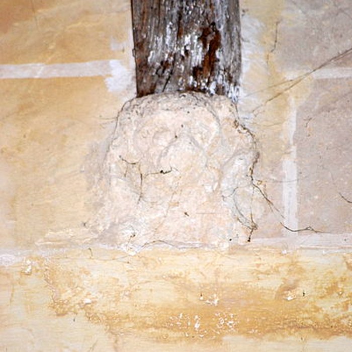 Photo de Église Saint-Caprais de Saint-Caprais-de-Bordeaux