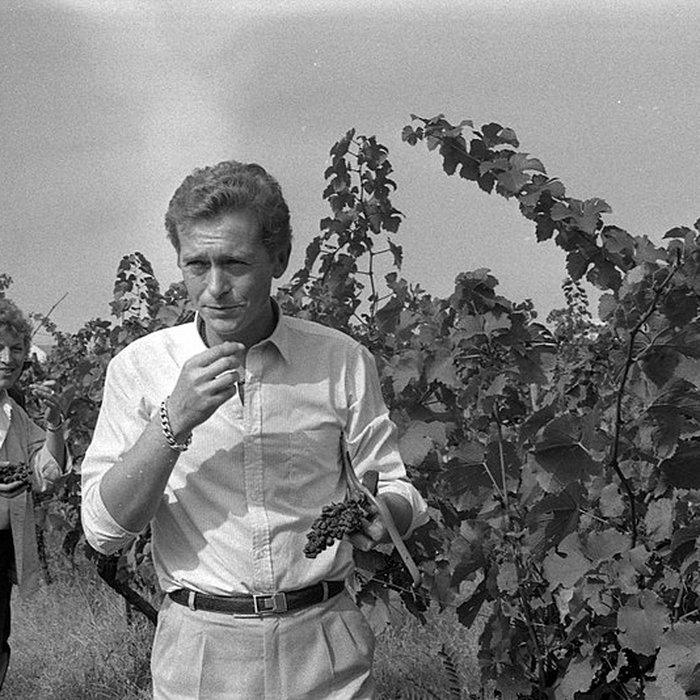 Photo de Château Saint-Simon, appelé aussi de Candie