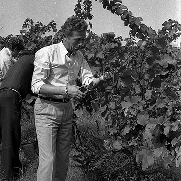 Photo de Château Saint-Simon, appelé aussi de Candie
