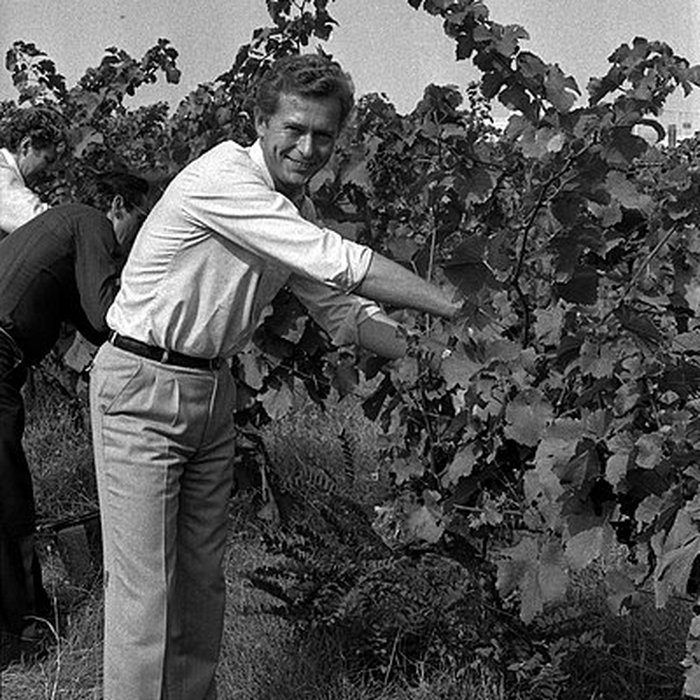 Photo de Château Saint-Simon, appelé aussi de Candie