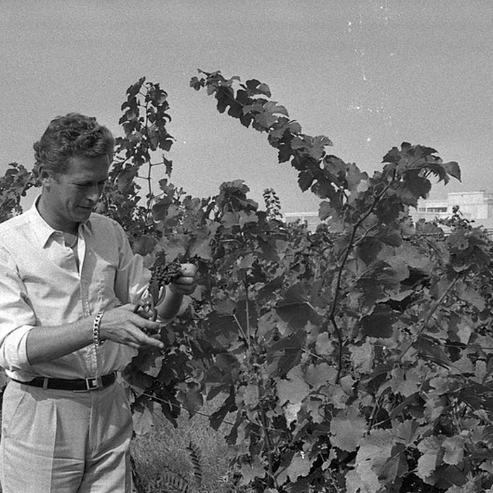 Photo de Château Saint-Simon, appelé aussi de Candie