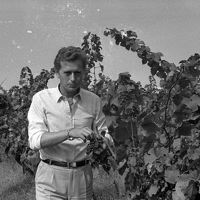 Photo de Château Saint-Simon, appelé aussi de Candie