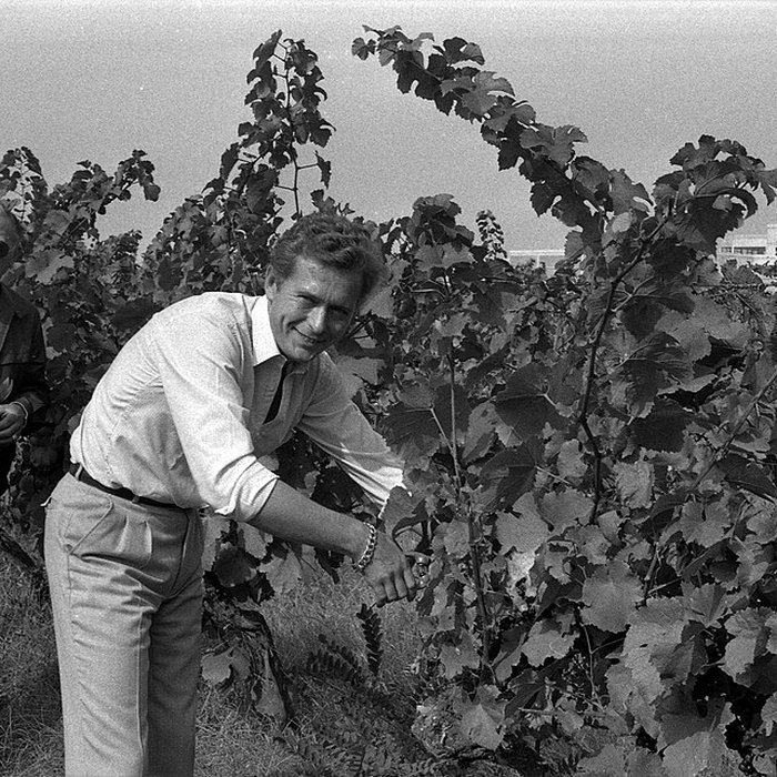 Photo de Château Saint-Simon, appelé aussi de Candie