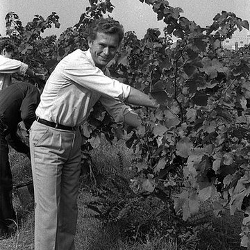 Château Saint-Simon, appelé aussi de Candie