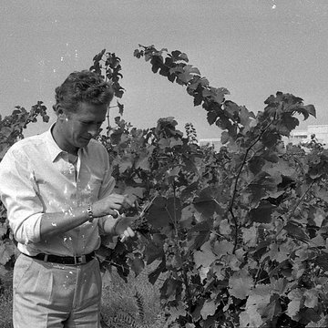 Château Saint-Simon, appelé aussi de Candie