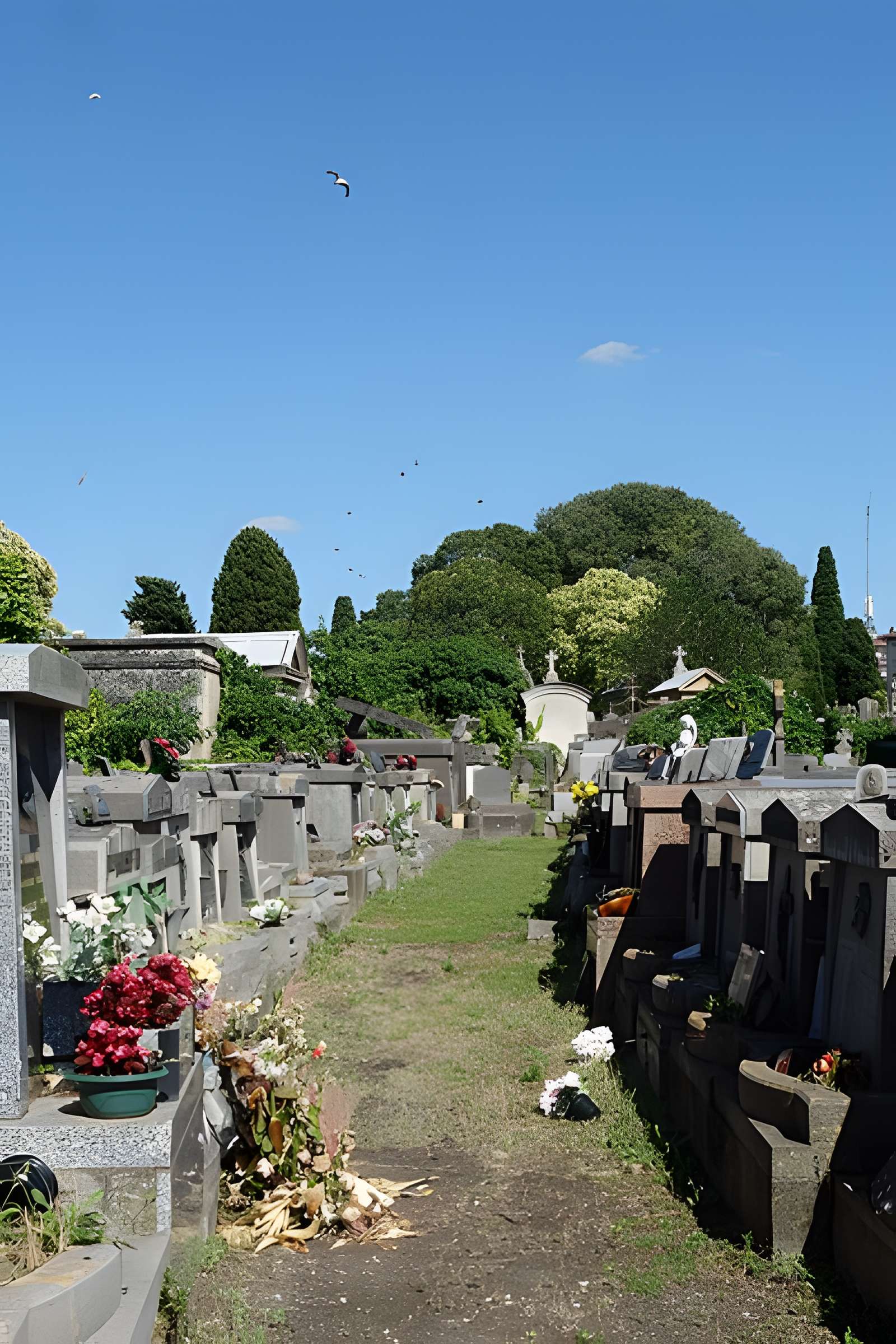 Entrée du cimetière de Terre-Cabade