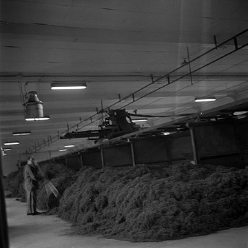 Manufacture des Tabacs