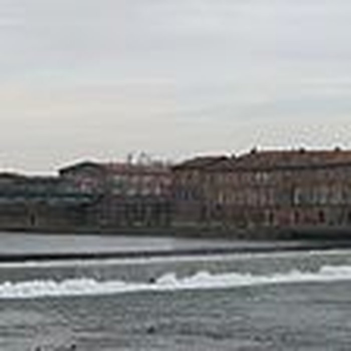 Photo de Pont des Catalans