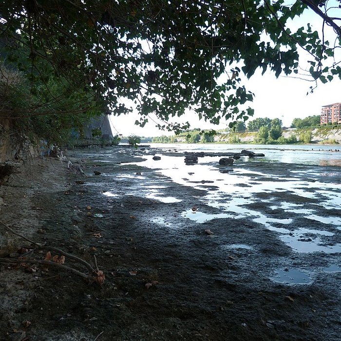 Photo de Pont des Catalans