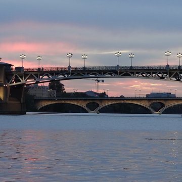 Pont des Catalans
