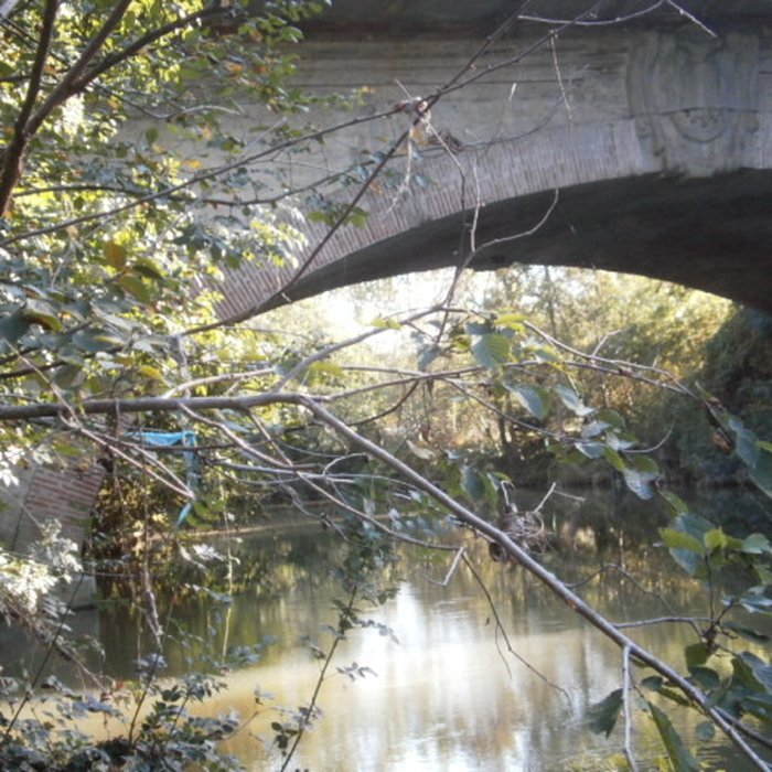 Photo de Pont sur le Touch