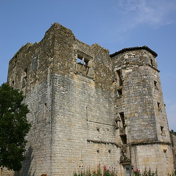 Photo de Ruines du château