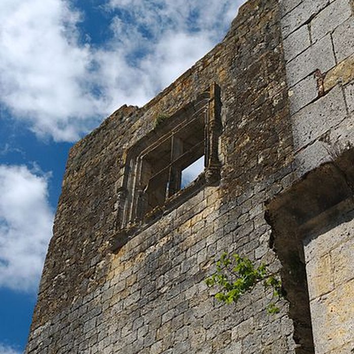 Photo de Ruines du château