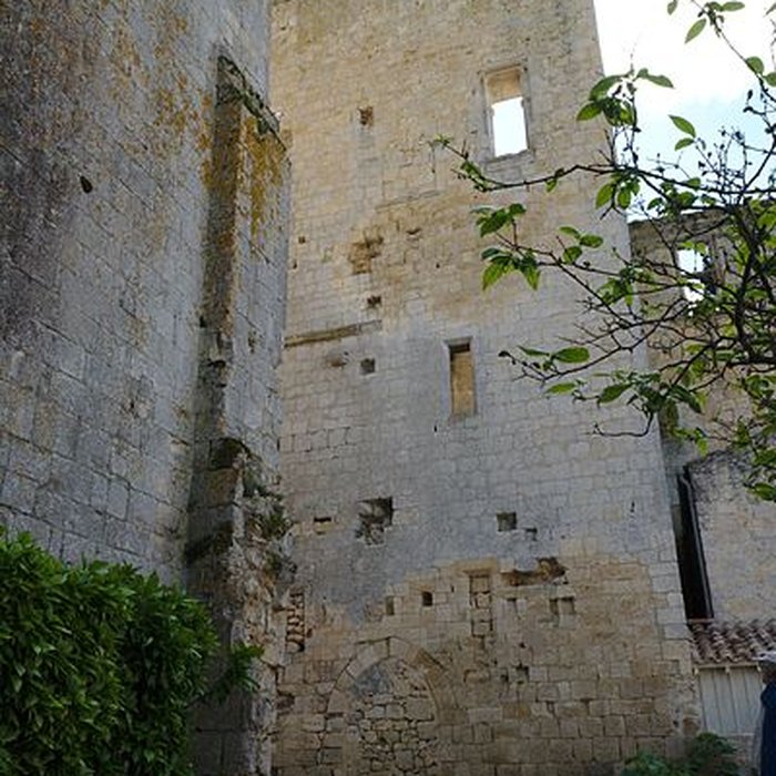Photo de Ruines du château