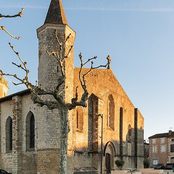 église Saint-Pierre ancienne collégiale