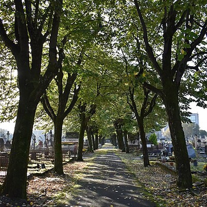 Photo de Cimetière de la Chartreuse