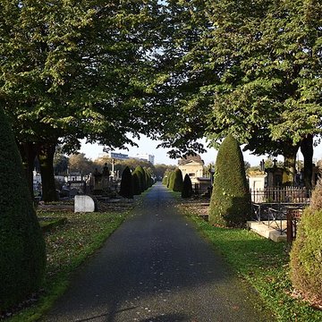 Cimetière de la Chartreuse