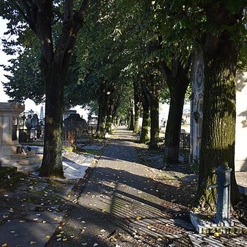 Cimetière de la Chartreuse