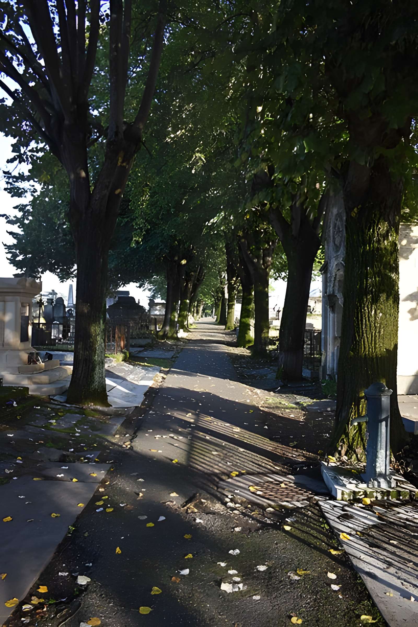 Cimetière de la Chartreuse
