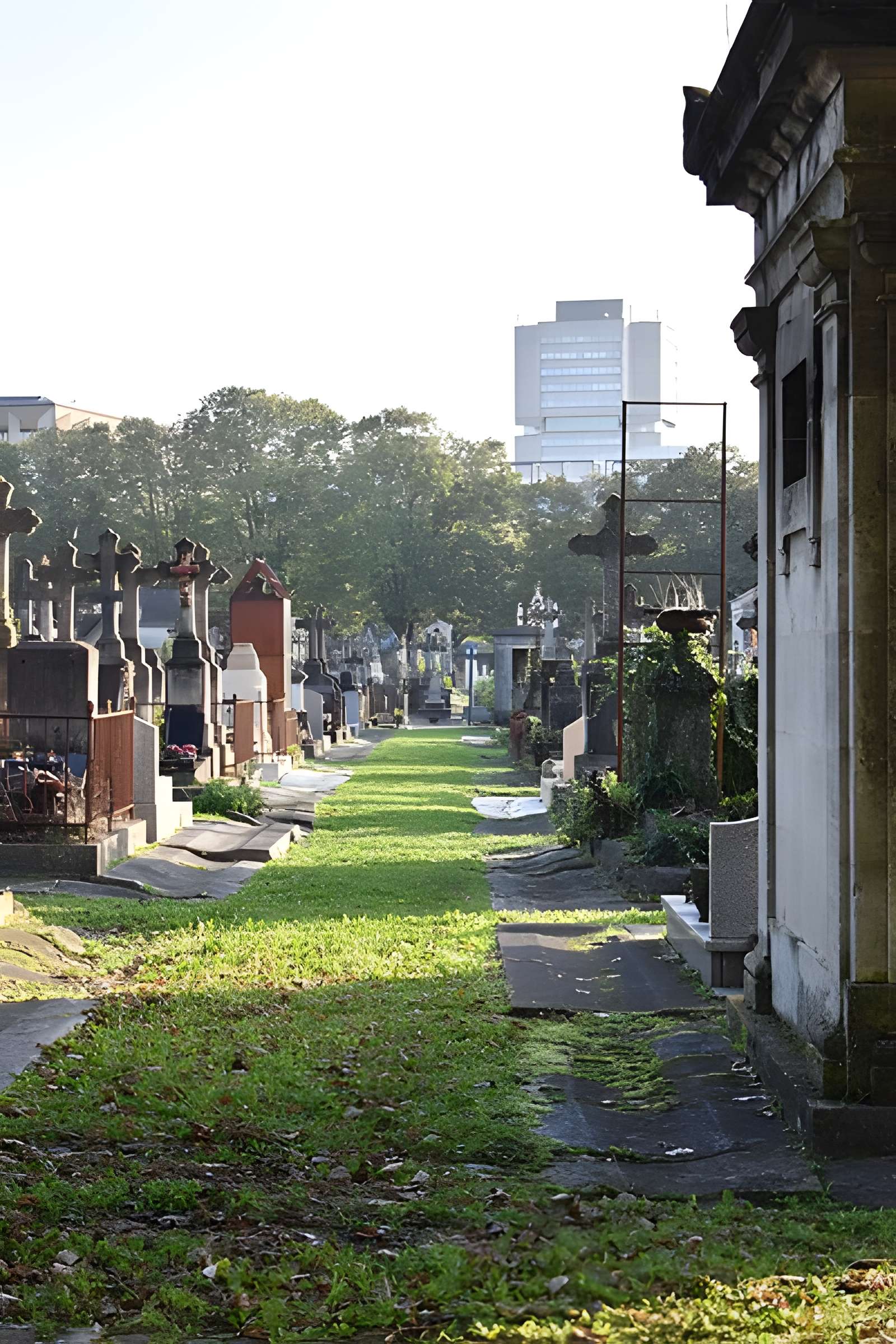 Cimetière de la Chartreuse