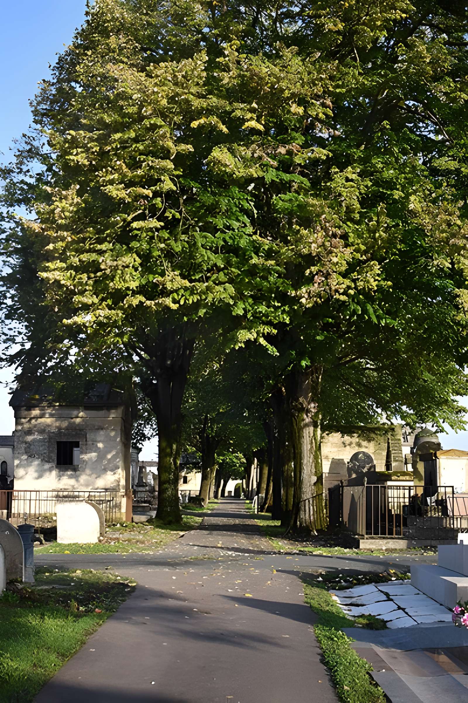 Cimetière de la Chartreuse