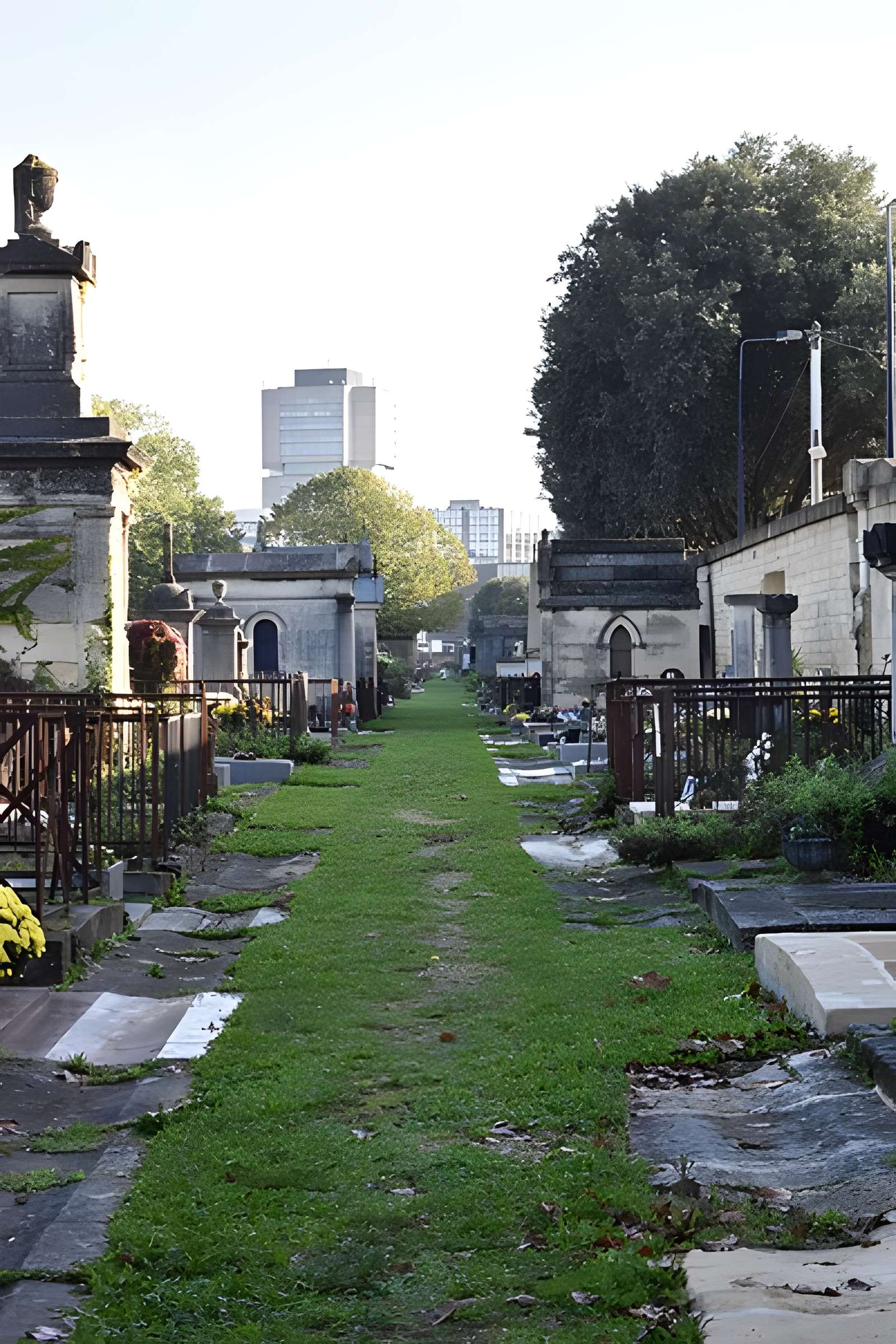 Cimetière de la Chartreuse