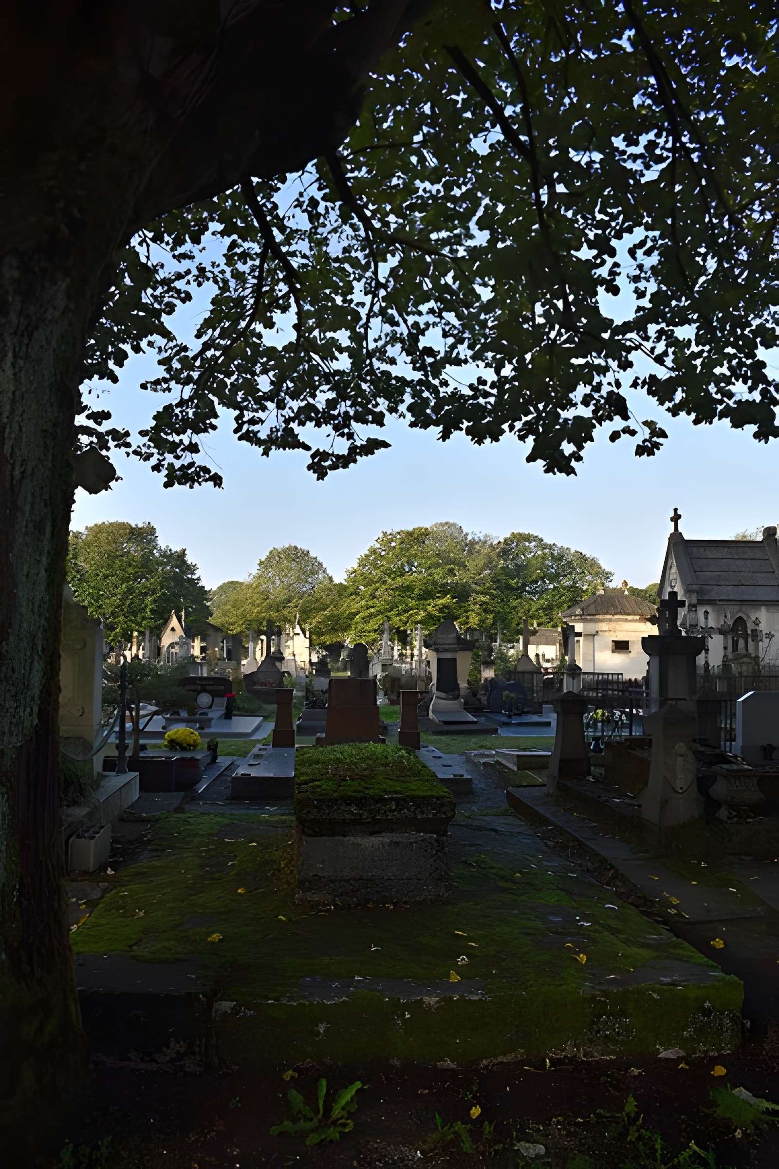 Cimetière de la Chartreuse