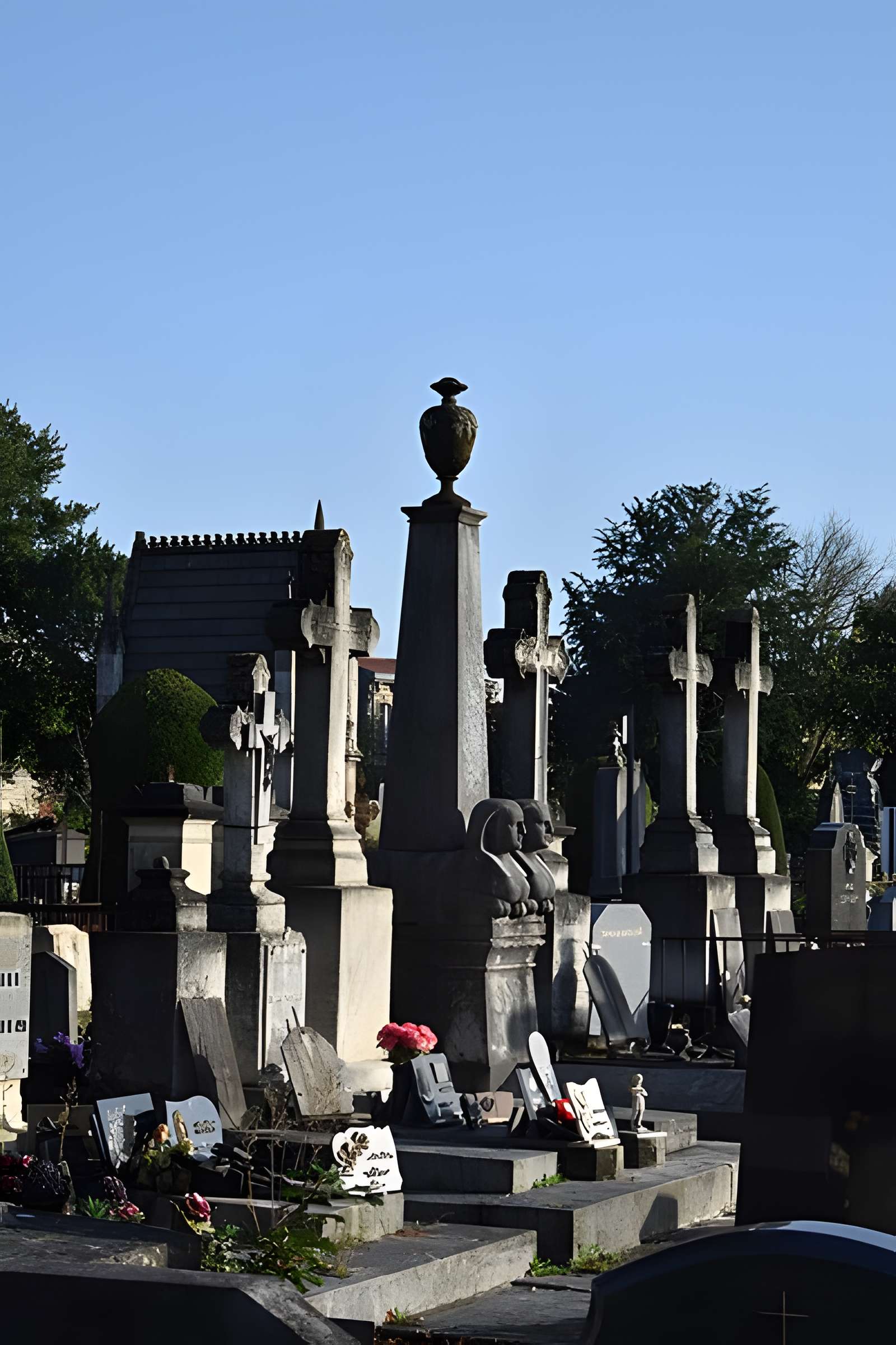 Cimetière de la Chartreuse