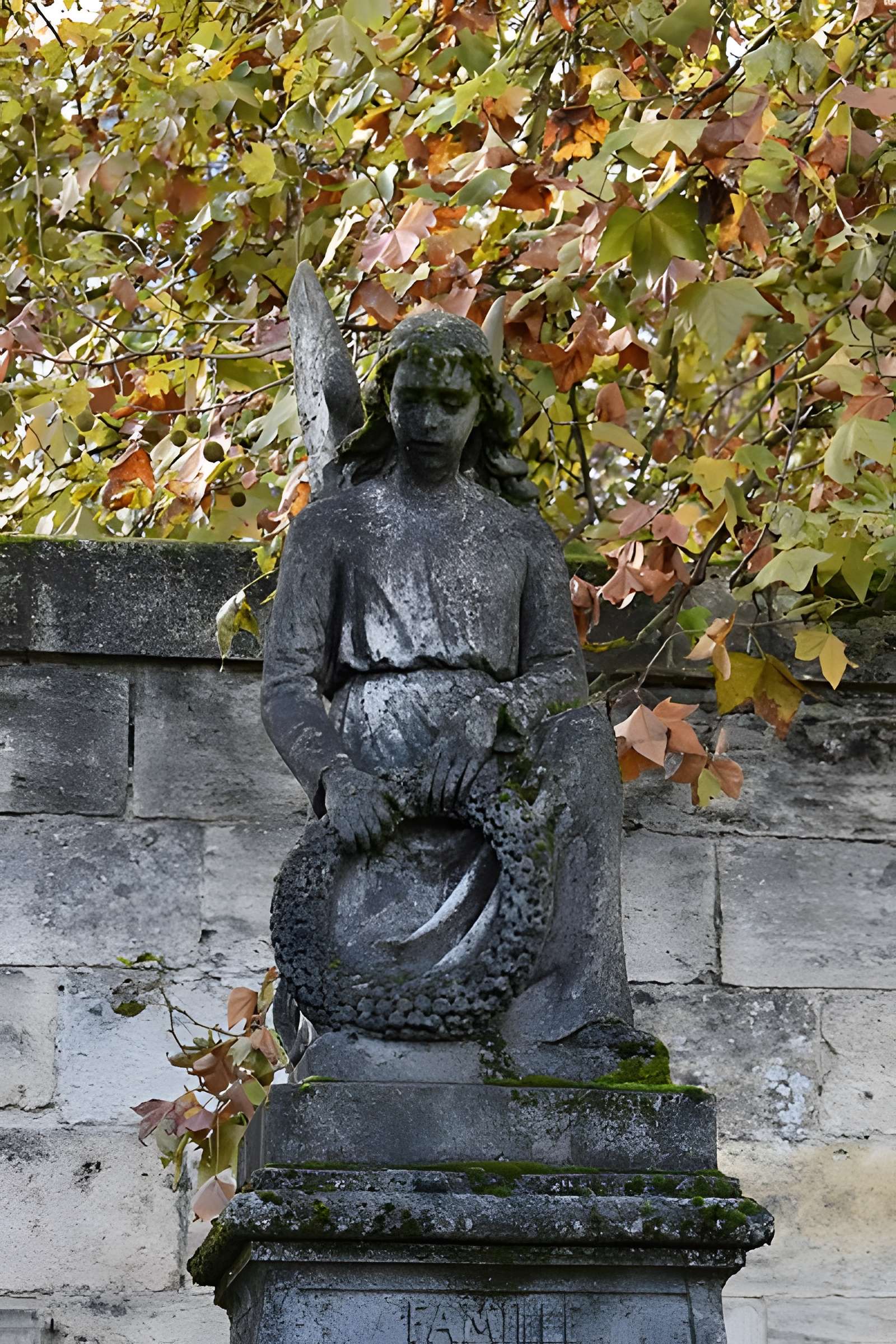 Cimetière de la Chartreuse