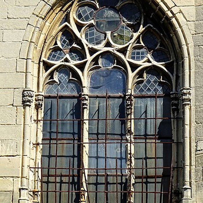 Photo de Église Saint-Denis de Rieux