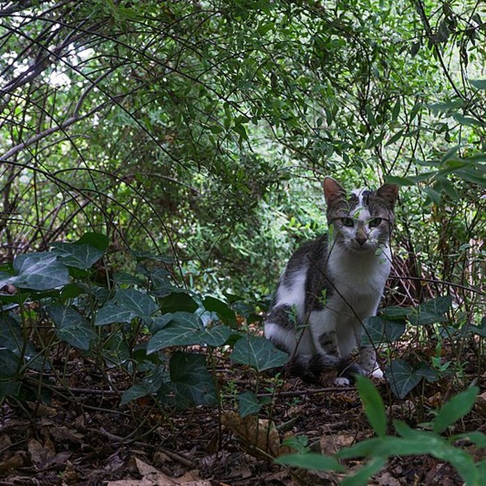 Photo de Jardin public