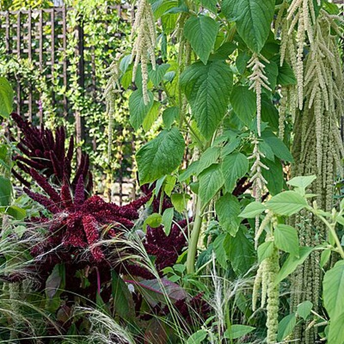 Photo de Jardin public