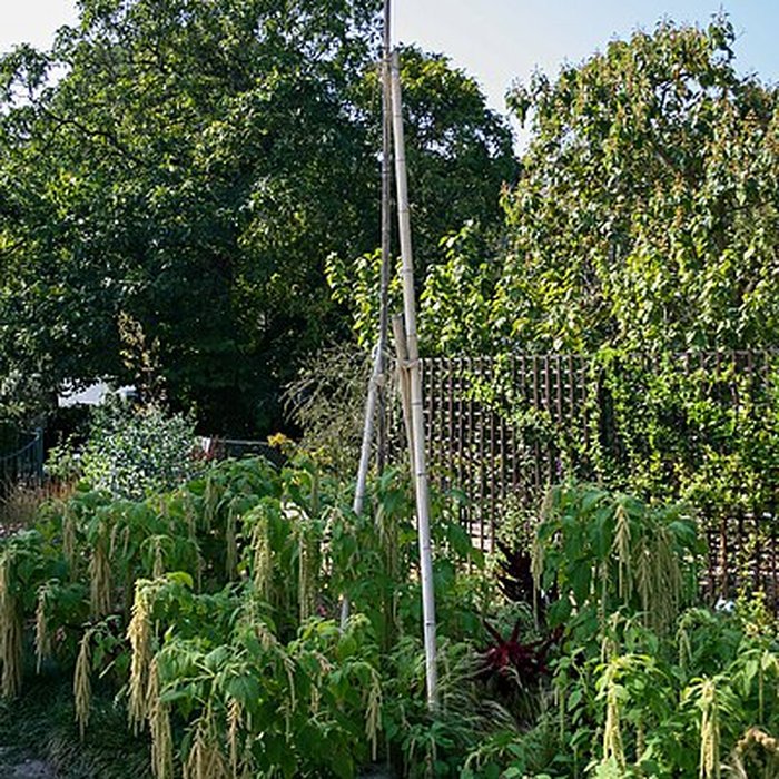 Photo de Jardin public