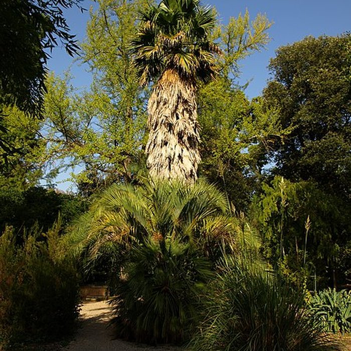 Photo de Jardin public