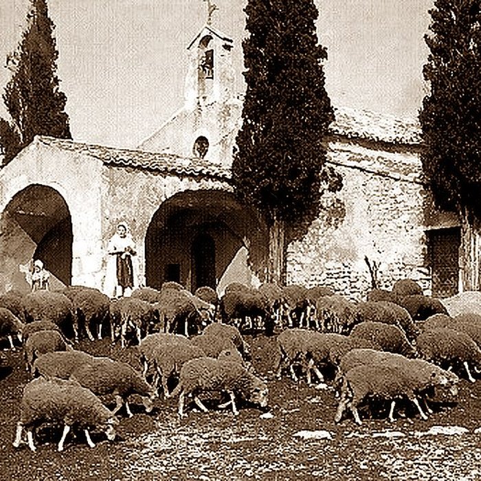 Photo de Chapelle Saint-Sixte dEygalières