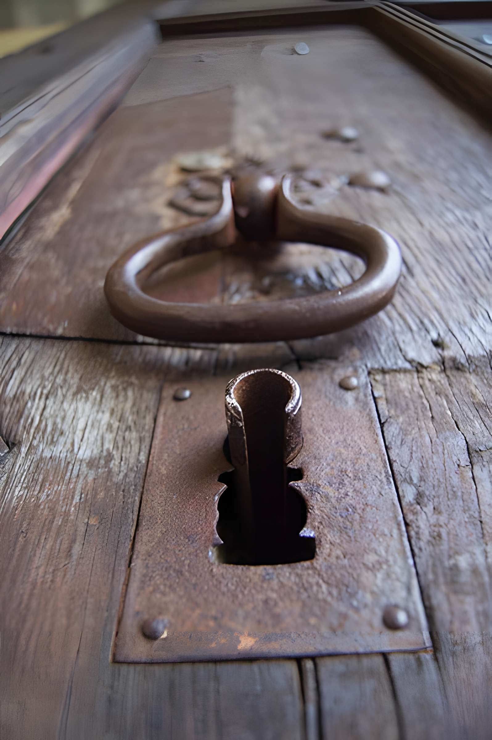 Ancienne porte du potager des Ducs d'Epernon.