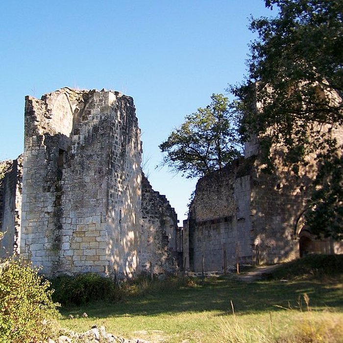 Photo de Vestiges de la commanderie de Sallebruneau