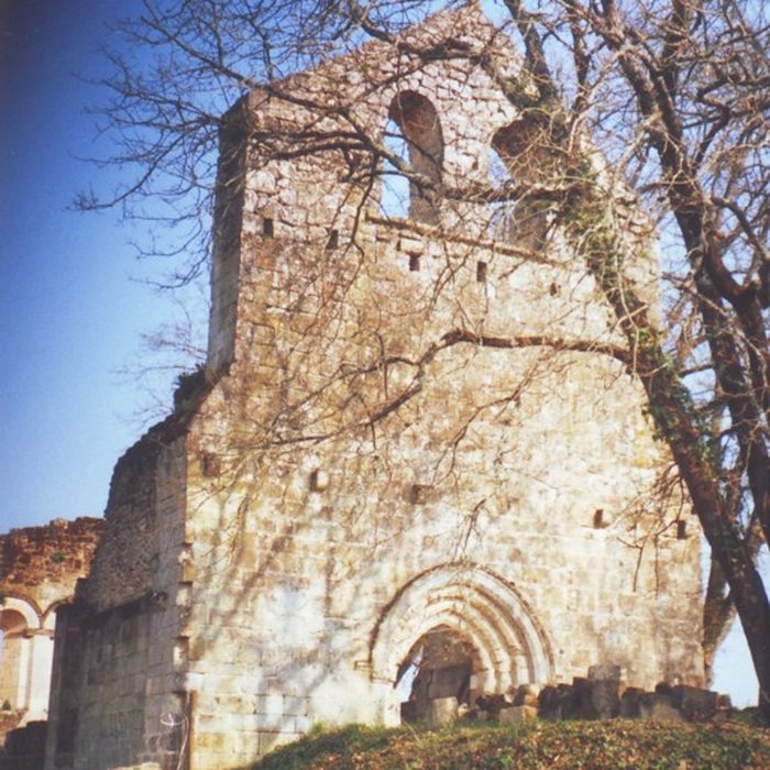 Photo de Vestiges de la commanderie de Sallebruneau