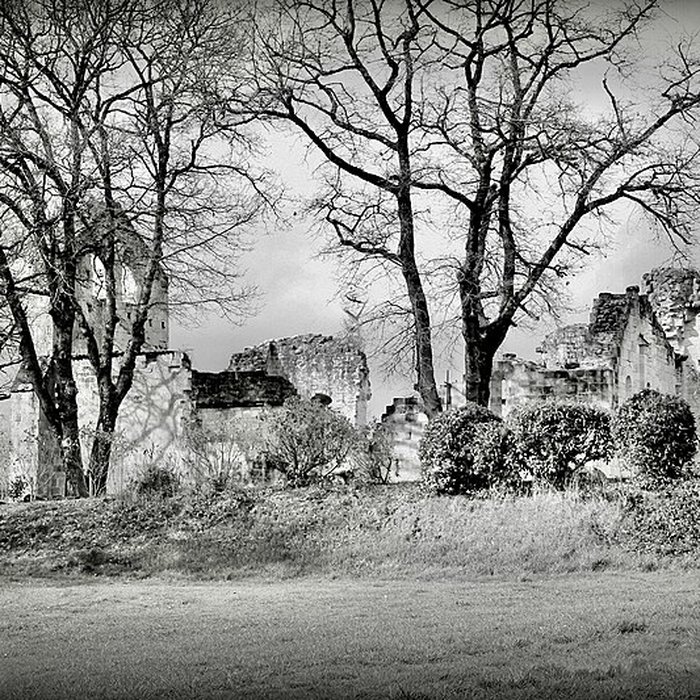 Photo de Vestiges de la commanderie de Sallebruneau