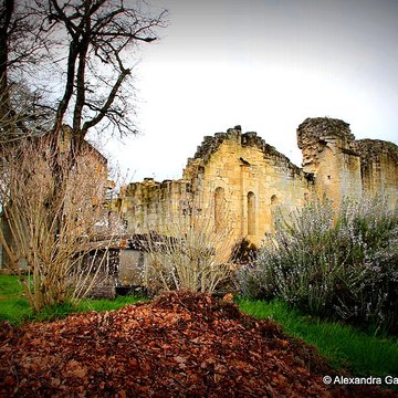 Vestiges de la commanderie de Sallebruneau