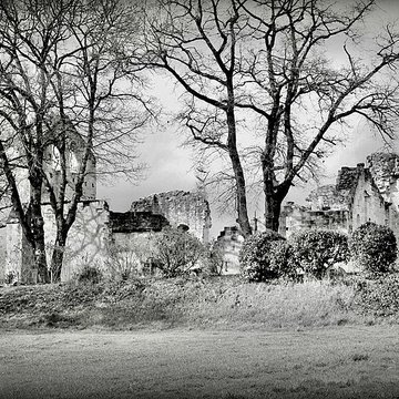 Vestiges de la commanderie de Sallebruneau