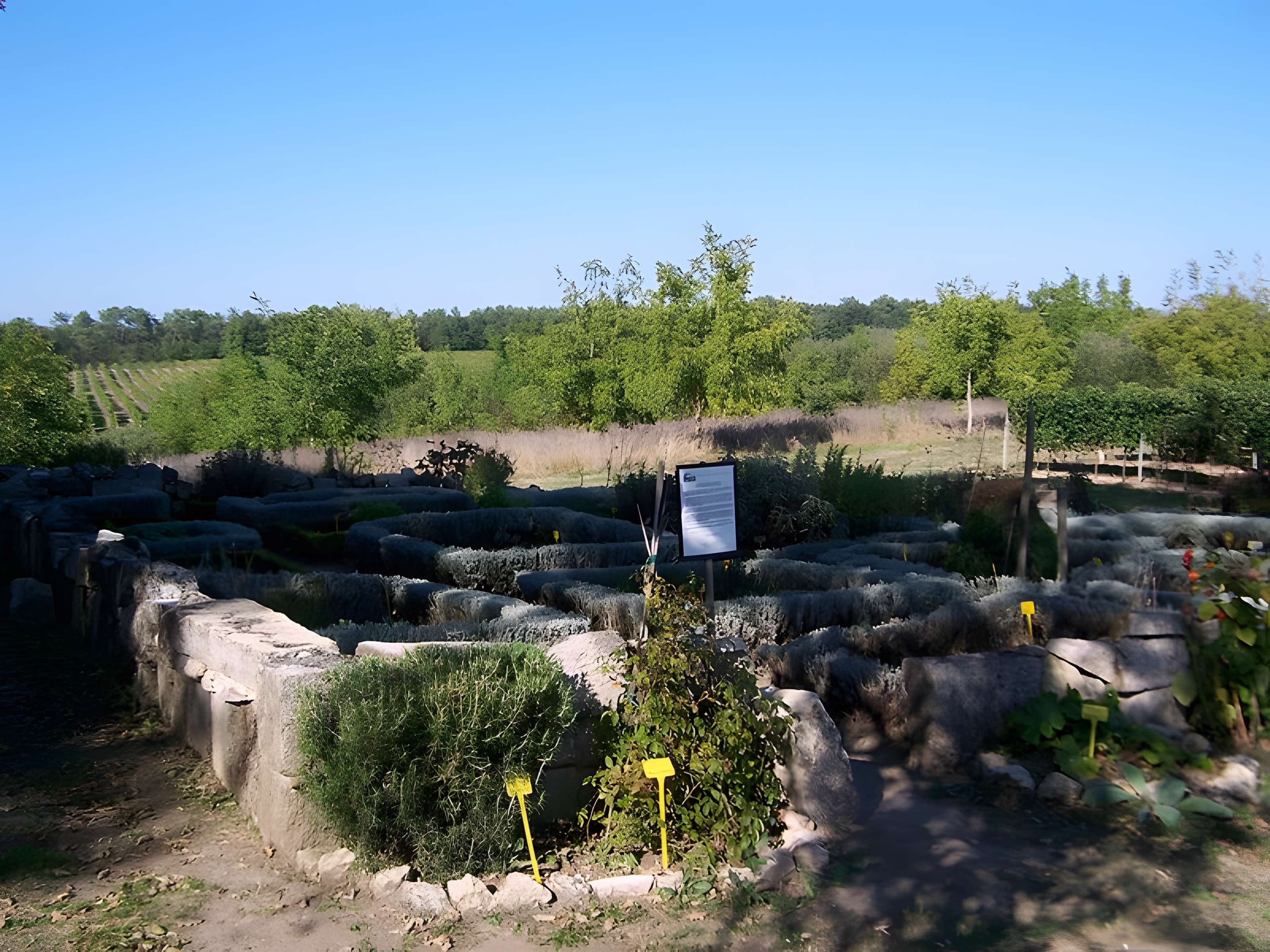 Vestiges de la commanderie de Sallebruneau