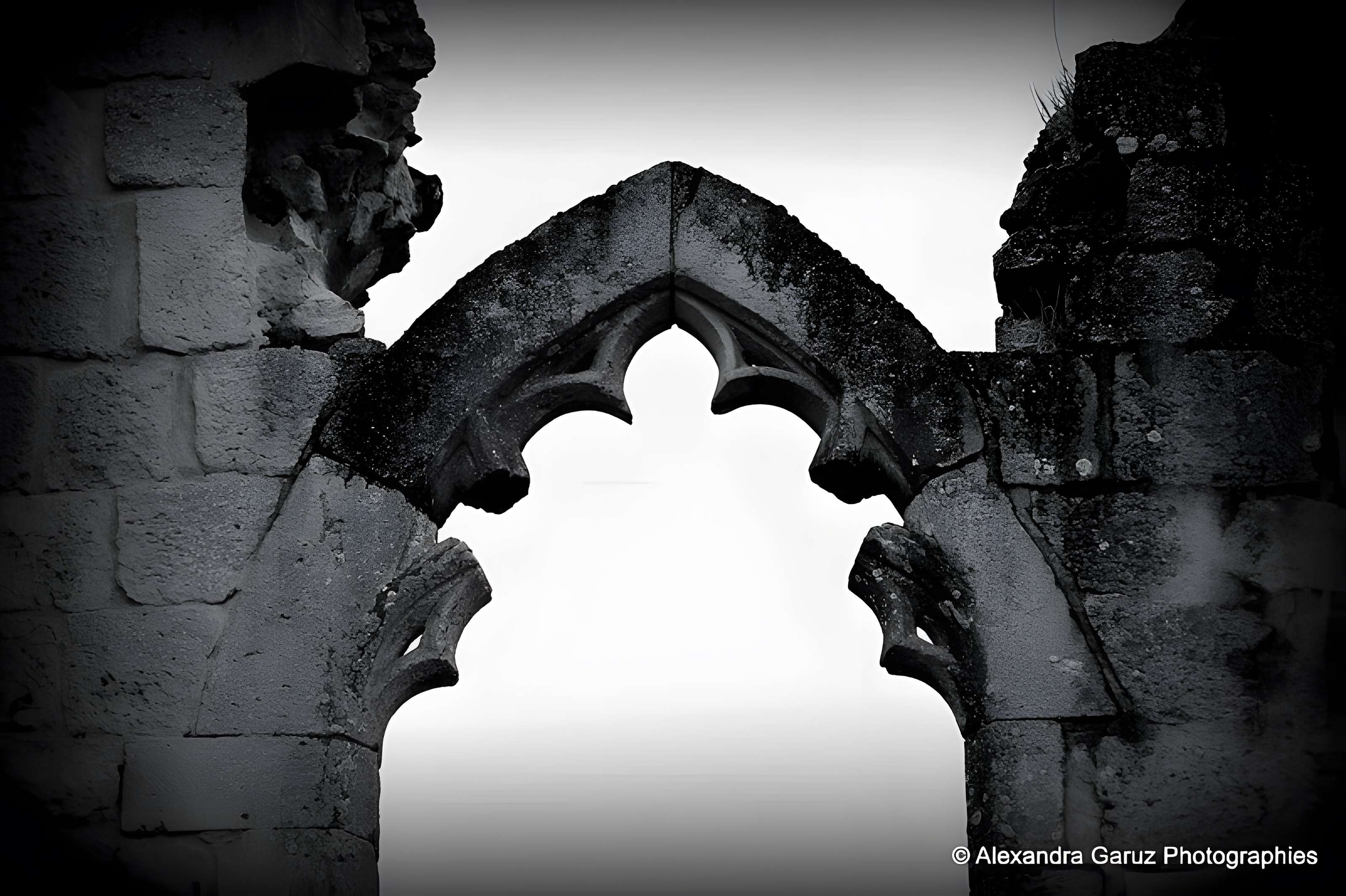 Vestiges de la commanderie de Sallebruneau