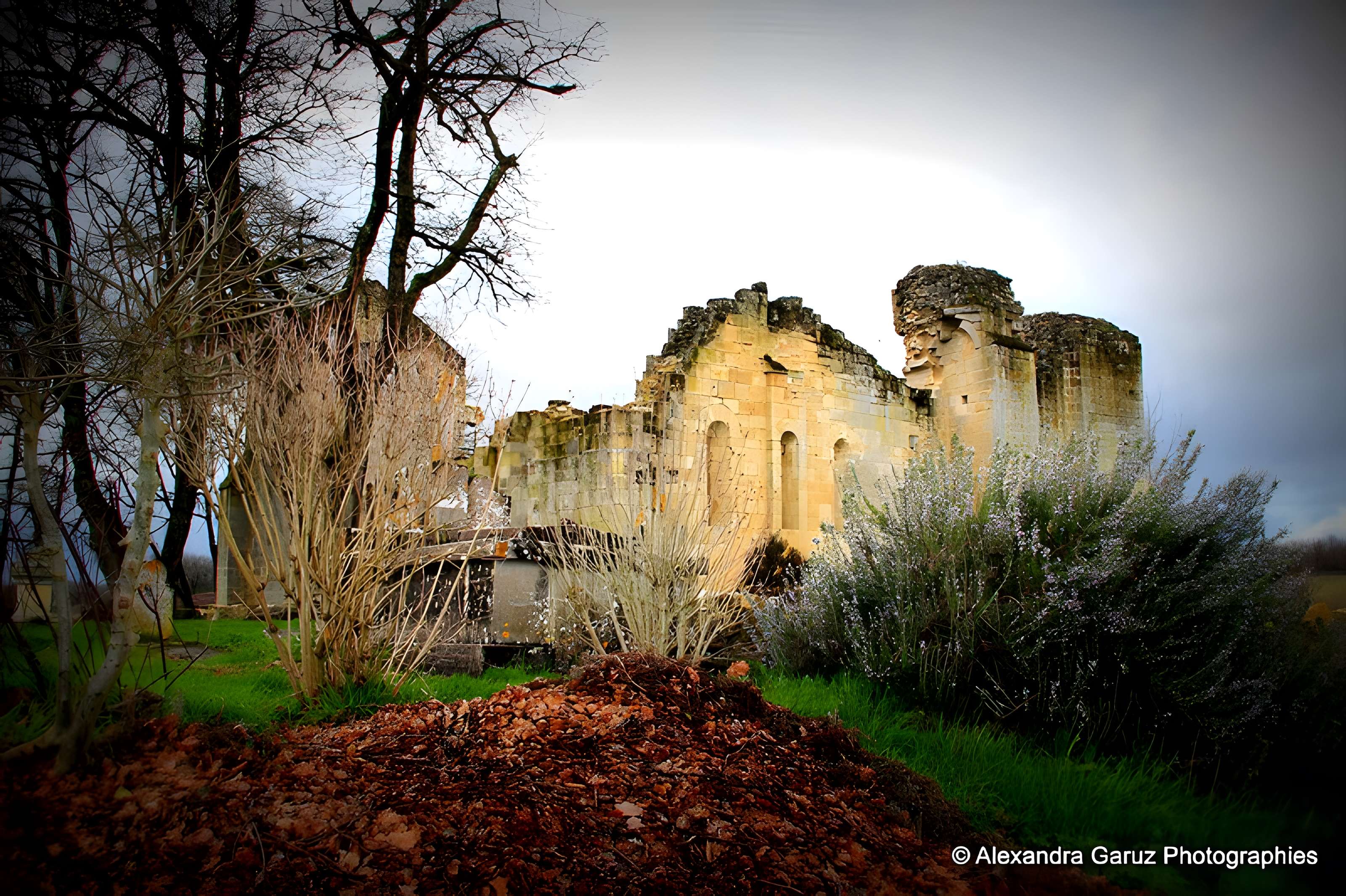 Vestiges de la commanderie de Sallebruneau