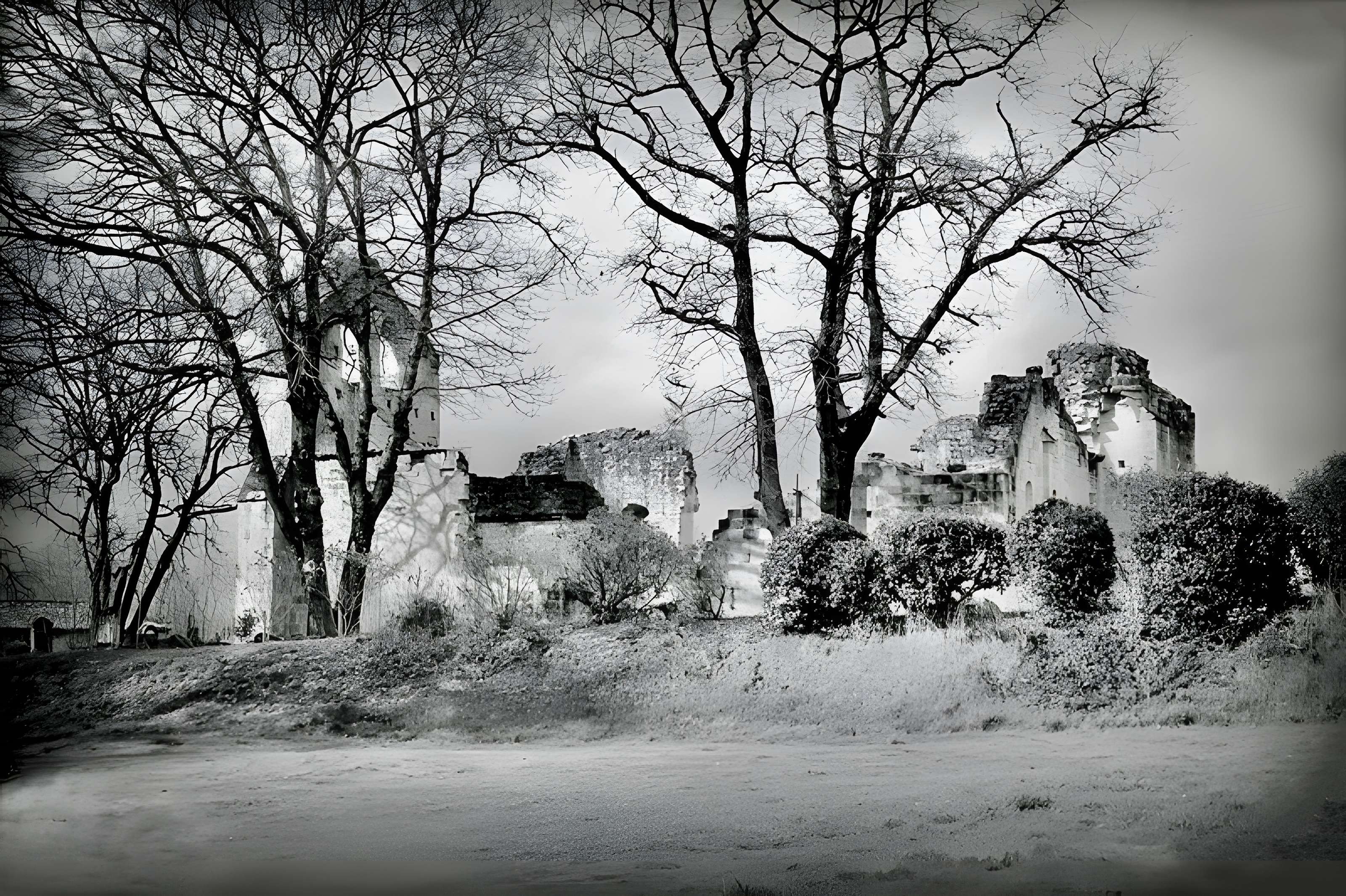 Vestiges de la commanderie de Sallebruneau