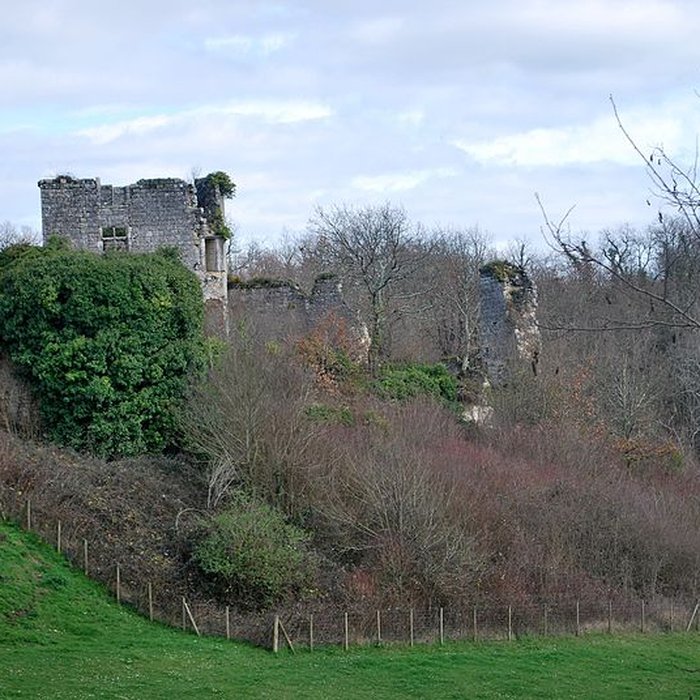Photo de Ruines du château de Malengin