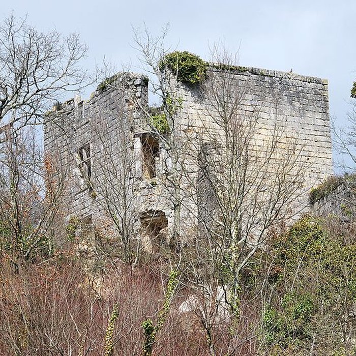 Photo de Ruines du château de Malengin