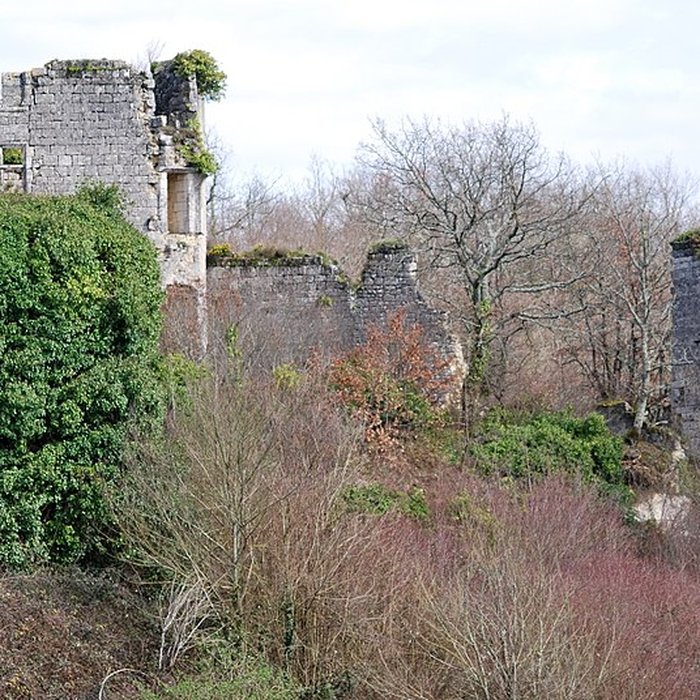 Photo de Ruines du château de Malengin